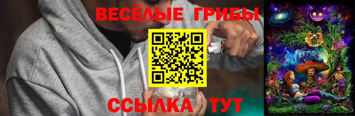 Псилоцибиновые грибы мицелий Михайловка
